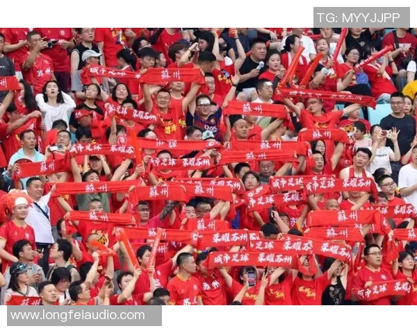 全面解析苏超足球联赛劲旅对决全景观察格局演变及未来发展前瞻趋势