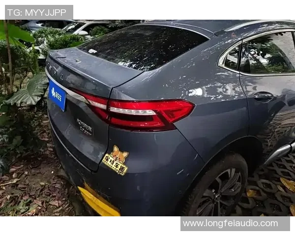 篮球运动的历史演变与全球化趋势分析及其对年轻一代的影响